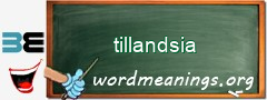 WordMeaning blackboard for tillandsia